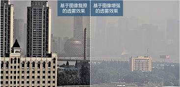 淺析?？低曂胳F技術及其技術服務