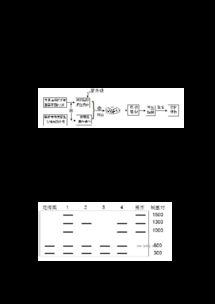 細(xì)胞工程高考真題強(qiáng)化訓(xùn)練與解析